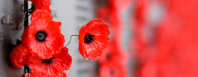 Remembrance Day Gifts for Men BroCrates